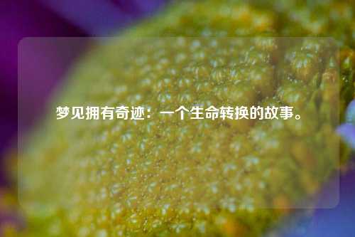 夢見擁有奇跡：一個生命轉換的故事。
